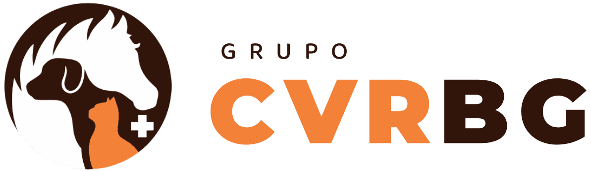 Grupo CVRBG